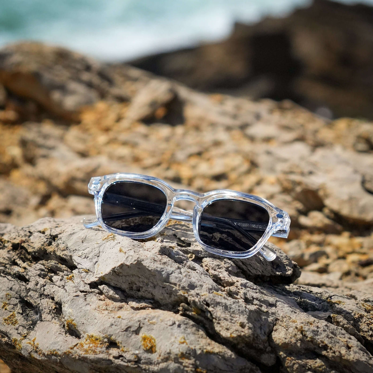 TIBOR sunglasses, transparent, on a rocky coastline
